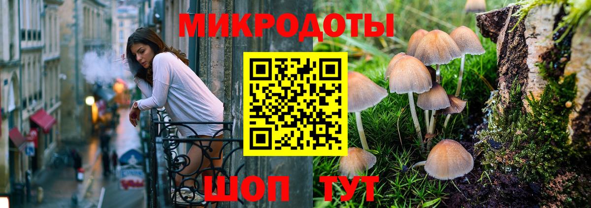 Псилоцибиновые грибы прущие грибы Славгород