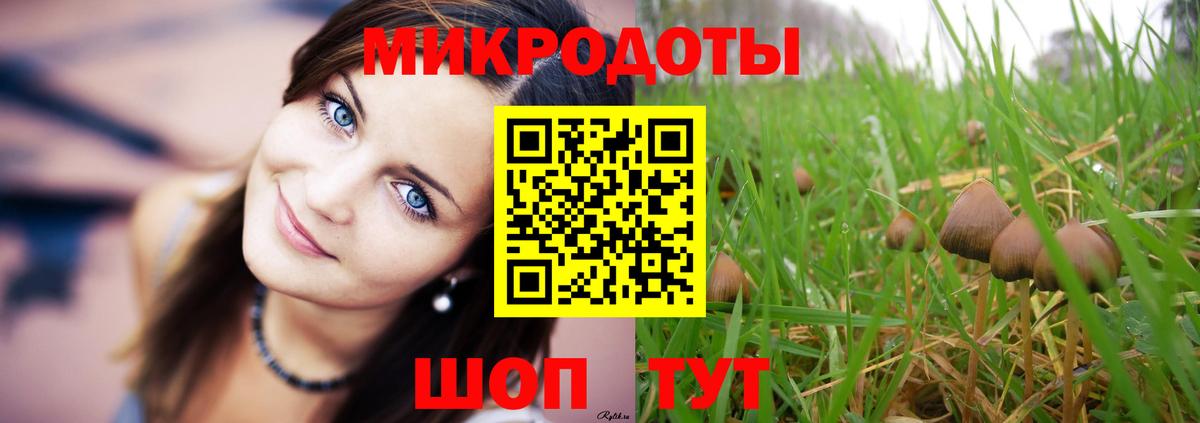 Славгород  Галлюциногенные грибы ЛСД  Вход с VPN  Псилоцибиновые грибы MAGIC MUSHROOMS 